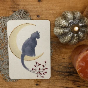 Nocturnal Cat Embroidery Card Kit - Rue de Pleine Lune
